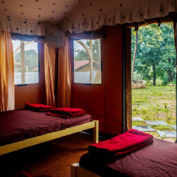 Forest Stay